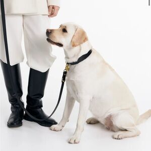 gorgeous genuine leather dog black leash and collar set